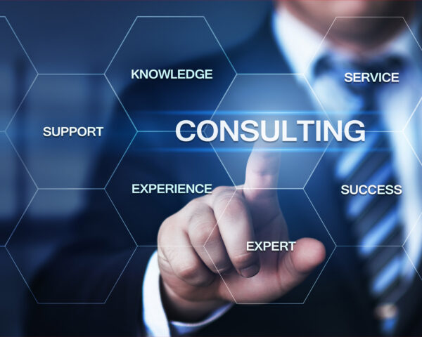 Why Security Consulting Is Crucial for Risk-Free Business Operations